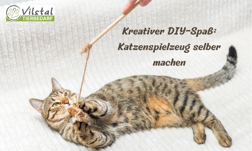Kreativer DIY-Spaß: Katzenspielzeug selber machen
