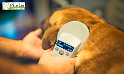 Wie registriere ich mein Tier bei Tasso oder findefix?