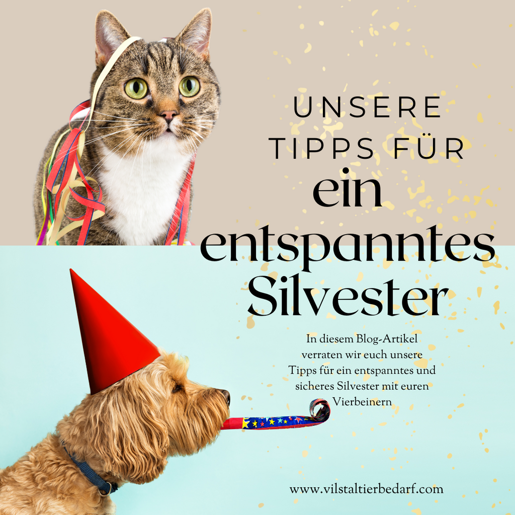 Unsere Tipps für ein entspanntes Silvester mit Vierbeinern