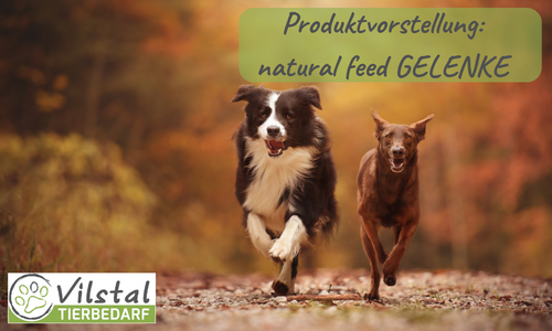 natural feed - GELENKE