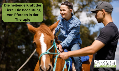 Die heilende Kraft der Tiere: Die Bedeutung von Pferden in der Therapie