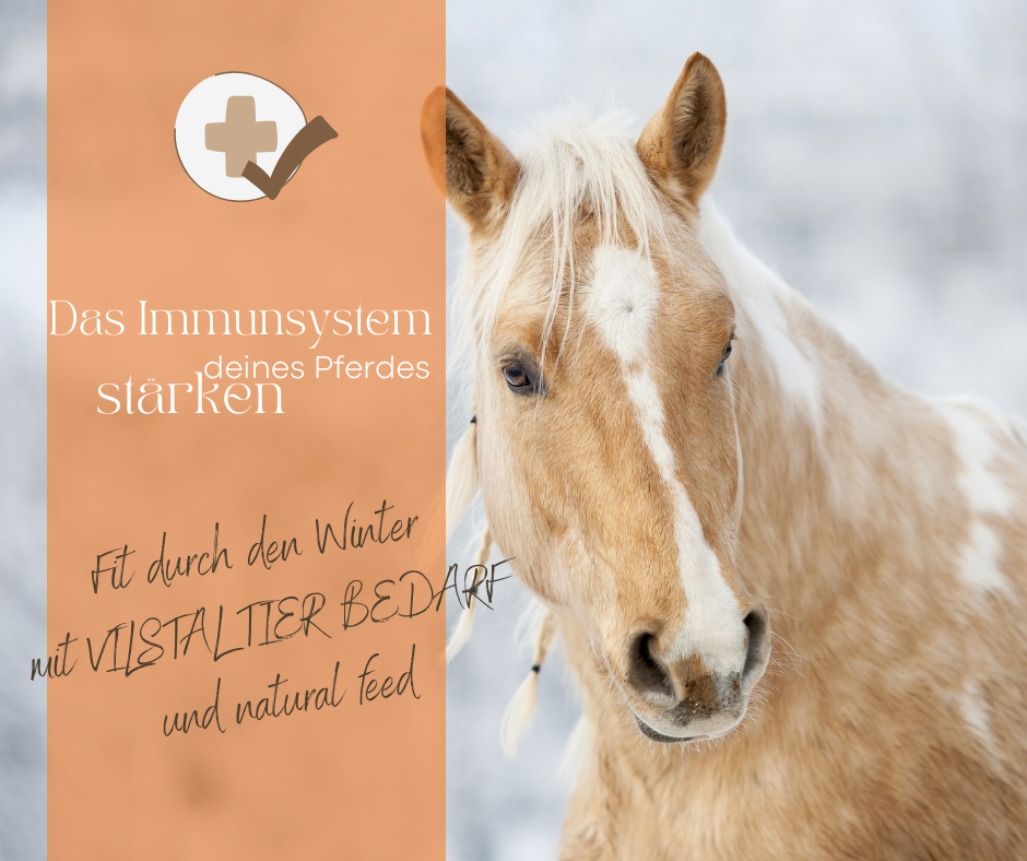 Das Immunsystem (d)eines Pferdes stärken